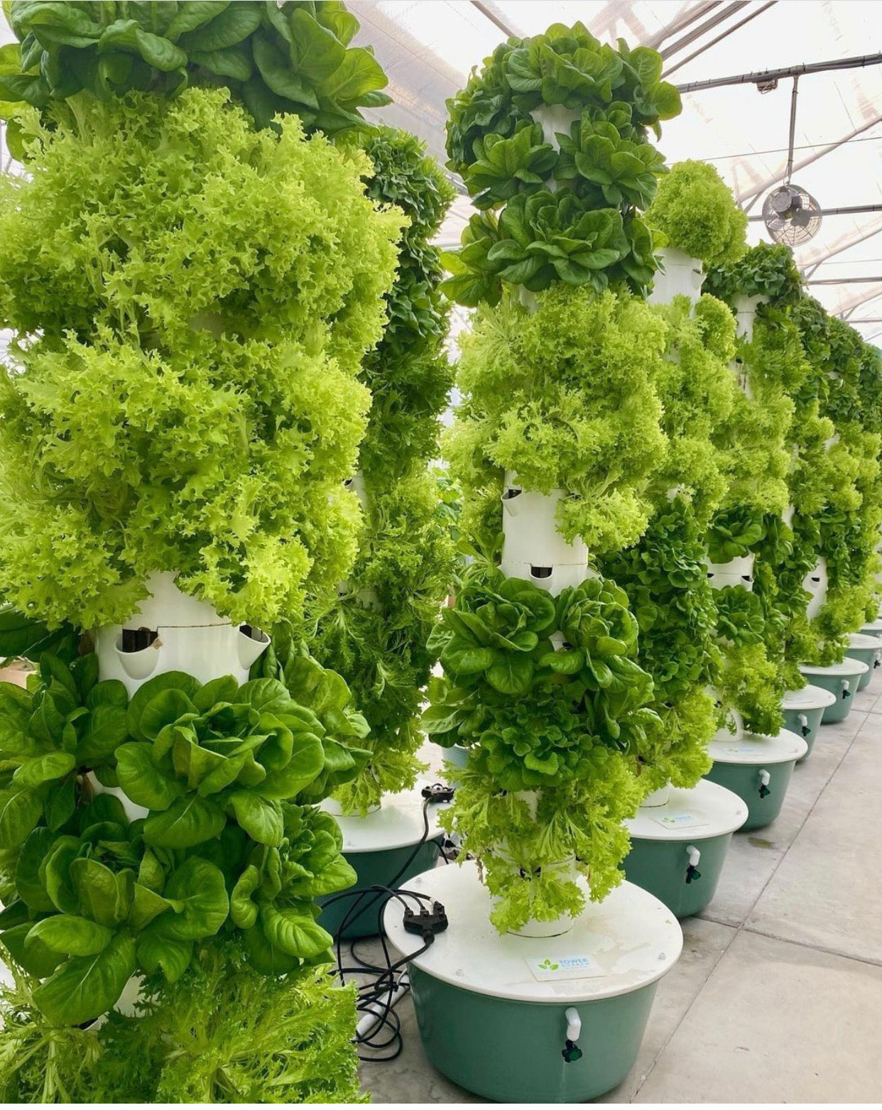 Tower Garden